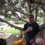 The Tree