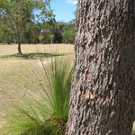 IMG_2969