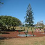 IMG_2980