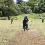 Nice pitch preparation