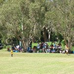 View from the middle