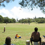 View from the stands