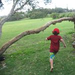 IMG_3189