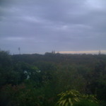 Evening